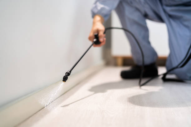 Licensed Cockroach Control service in Mayfield, PA - Nex Pest Control
